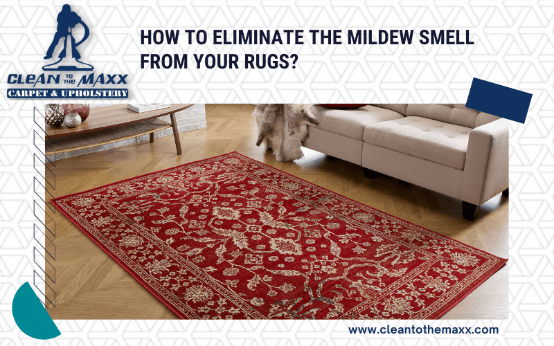 How-To-Eliminate-The-Mildew-Smell-From-Your-Rugs